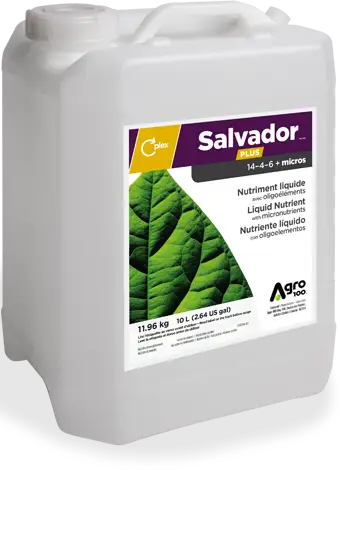 Biostimulant Salvador PLUS – Nutriment liquide avec oligoéléments