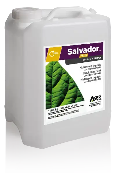 Biostimulant Salvador PLUS – Liquid Nutrient with micronutrients